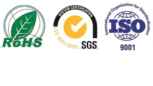 SGS1